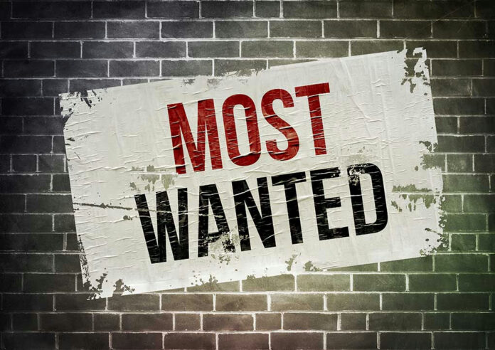 227310661 Most Wanted poster on brick wall.