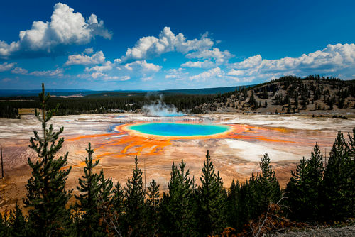 shutterstock_784576060 Grand Prismatic Spring with trees and mountains in background.