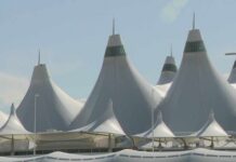Viral Airport Arrest Reignites Immigration Debate Emotions erupt at Denver airport after ICE detains woman accused of overstaying visa