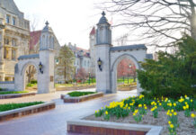 Stone archway entrance on a university campus with blooming yellow flowers