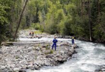 Rescue workers in helmets standing along a fast-flowing forest river