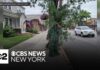 Cops In Camouflage Nail Drivers New Jersey officer disguised as shrub to catch distracted drivers