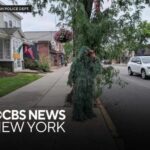 Cops In Camouflage Nail Drivers New Jersey officer disguised as shrub to catch distracted drivers