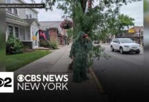 Cops In Camouflage Nail Drivers New Jersey officer disguised as shrub to catch distracted drivers