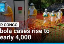 WHO Alarm: Fatal Outbreak Escalates WHO calls for 'intensified' response as DR Congo Ebola cases near 4,000 • FRANCE 24 English