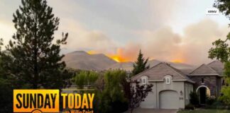 Nevada Gov. Declares State of Emergency as Hawk Fire Spreads