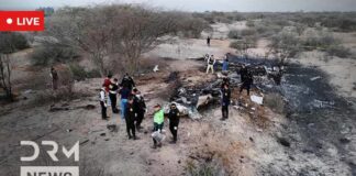 LIVE: Tourist Plane Crashes Near Peru's Nazca Lines, Killing 13 On Board | AP1N