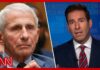 Legal expert explains Senate panel vote to hold Fauci in contempt