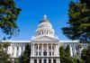 Tax Hike Backfires—Leader Toppled In Scandal State capitol building with white dome and columns framed by trees