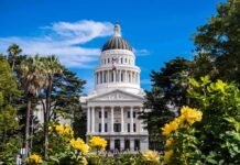 California’s Latest Tax Target Isn’t Just Cash Capitol building with white dome framed by trees and yellow flowers
