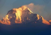 Himalayan Collapse Sparks Awkward Climate Truth Snow-capped mountain peak glowing at sunrise