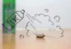 Dead cockroach on floor with drawn pest spray can and fumes