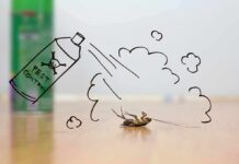 Steakhouse Horror Sparks Leader Ouster Dead cockroach on floor with drawn pest spray can and fumes