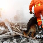 Mountain Tunnel Miracle After Deadly Floods rescue worker with dog searching rubble
