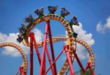 Brain Injury Claims Explode at Six Flags Roller coaster train twists through a vertical loop