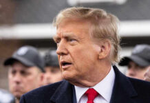 Spin Machine Targets Trump’s Temple Donald Trump in profile with Brendan Steele and Jonathan Crompton blurred in the background