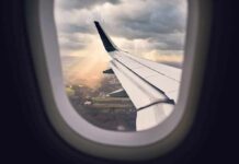 Court Clampdown, U.S. Entry – Guess Who Landed airplane wing seen from window during descent