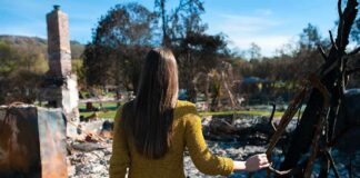 Woman in yellow sweater surveys burned ruins outdoors