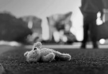 Parking Lot Horror Leaves Toddler Dead Stuffed toy lying on pavement in black and white