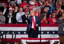 On-Air Blast, Off-Air Boot – Rule Still Hidden Donald Trump points from a rally stage; Rudi Koertzen and Bear Pascoe are in the crowd