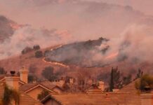 Wall Street Finds an Unexpected Opportunity in Disaster Wildfire burns on hillside near suburban homes