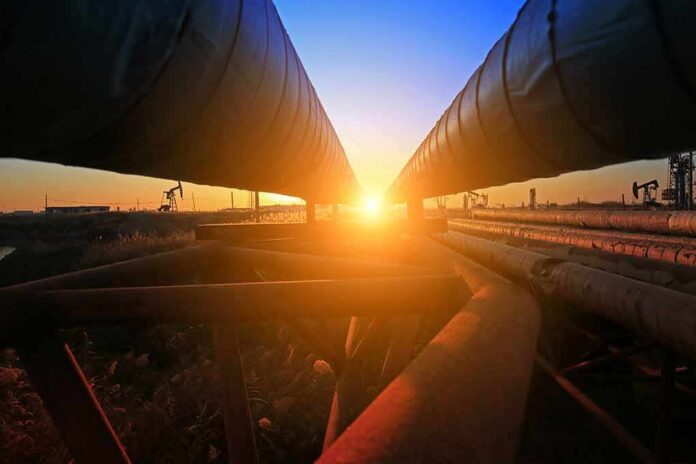 Industrial pipelines at sunset