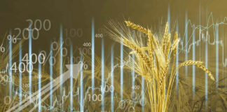 Wheat and financial graphs with rising trend arrows.