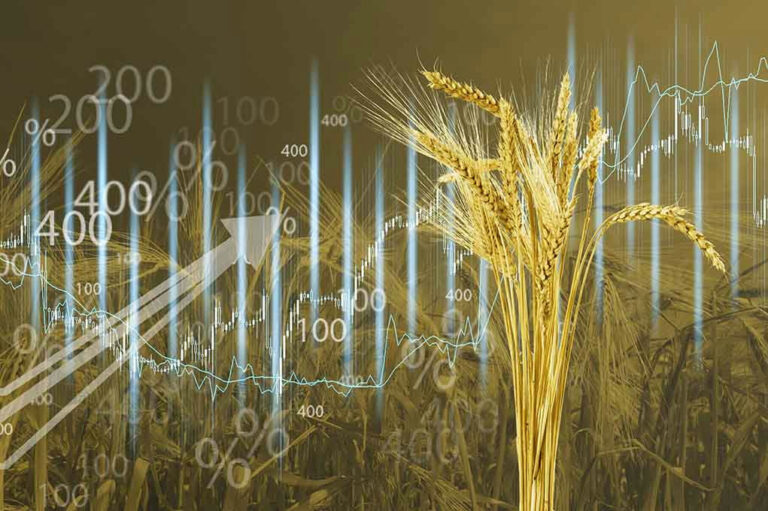 Wheat and financial graphs with rising trend arrows.