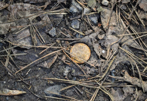 shutterstock_1081286561.jpg A lost coin surrounded by dry leaves and twigs