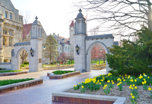 Stone archway entrance on a university campus with blooming yellow flowers