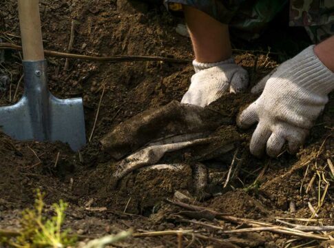 Gloved hands digging in soil beside a shovel
