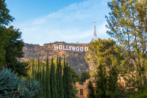 shutterstock_1164563563.jpg featured image Hollywood Sign on hillside surrounded by trees, clear sky.