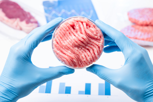 shutterstock_1435786895.jpg featured image Person holding raw meat sample in lab.