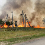 Grass fire burning near utility poles and trees.