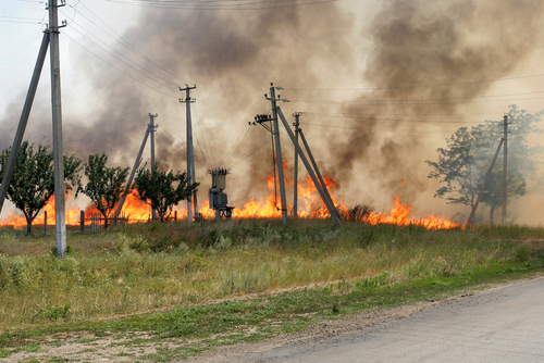 shutterstock_1688976337.jpg featured image Grass fire burning near utility poles and trees.