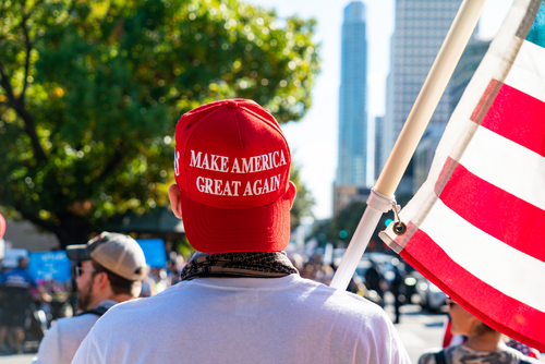 Person in MAGA hat holding U.S. flag at rally.