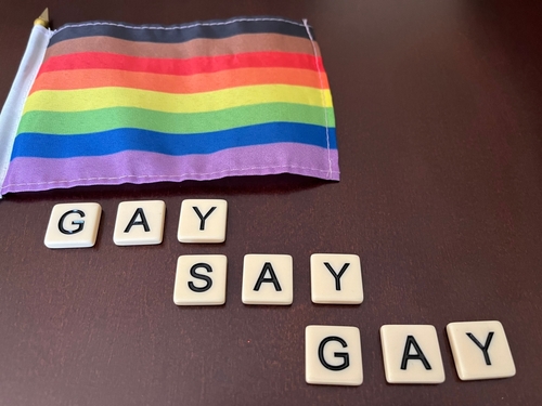 Rainbow flag with tiles spelling GAY SAY GAY.