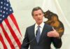 Gavin Newsom. Governor, California, Leftist