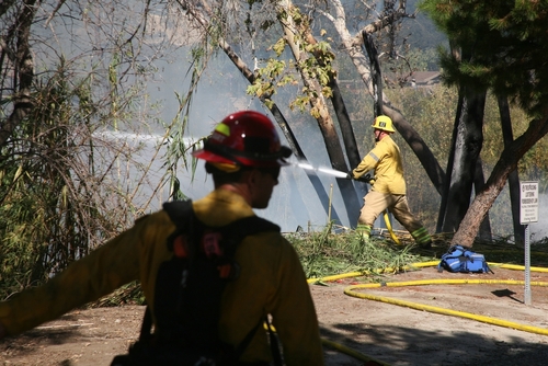 shutterstock_2223181395.jpg featured image Firefighters extinguishing a wildfire in a forest.
