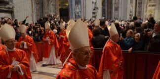 Cardinals in red robes and mitres participating in a religious ceremony