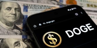 Smartphone displaying DOGE app over dollar bills