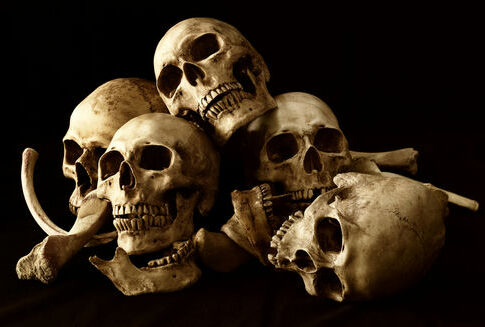 Five human skulls and bones against a black background.