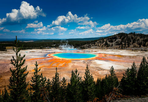 Grand Prismatic Spring with trees and mountains in background.